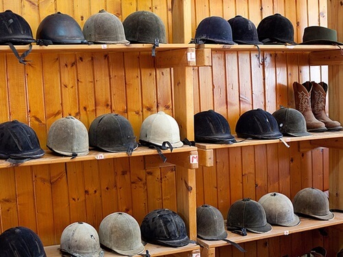 ורד הגליל- חוות סוסים